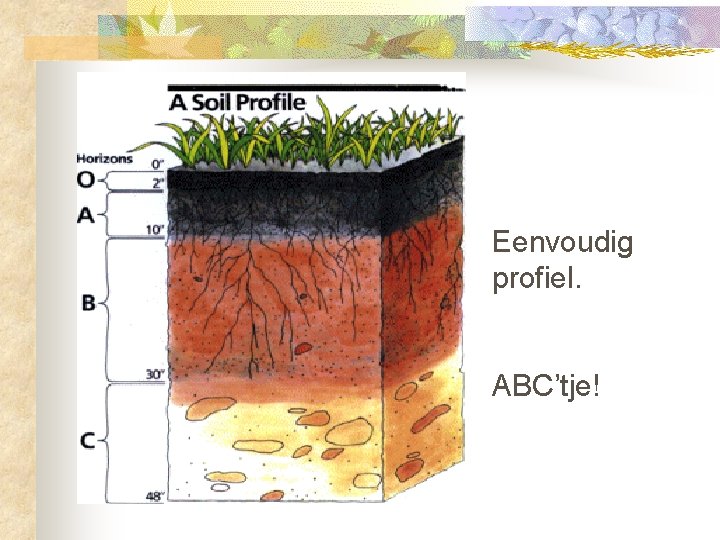 Eenvoudig profiel. ABC’tje! 