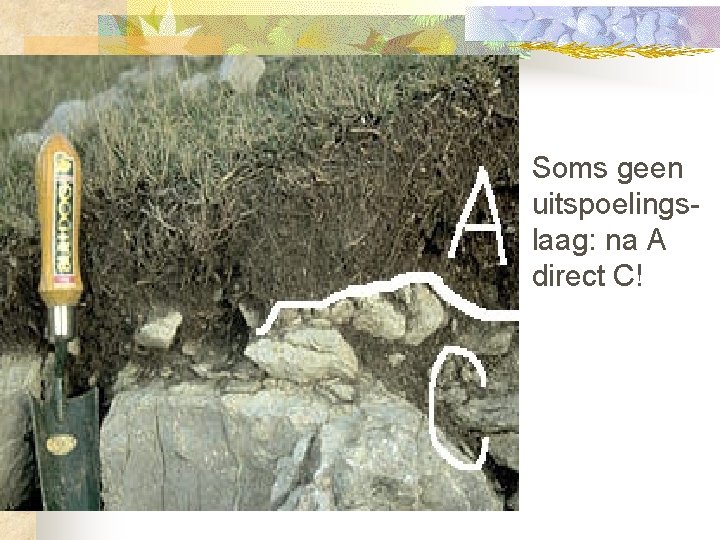 Soms geen uitspoelingslaag: na A direct C! 