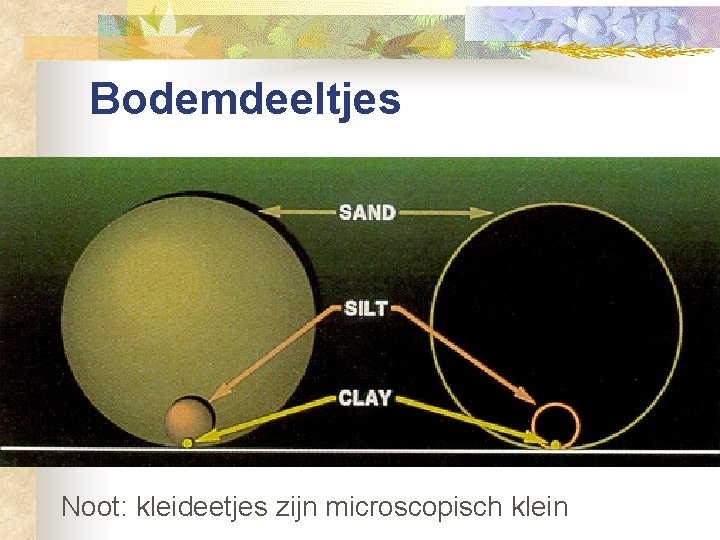 Bodemdeeltjes Noot: kleideetjes zijn microscopisch klein 
