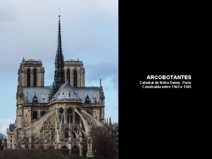 ARCOBOTANTES Catedral de Notre Dame, Paris Construída entre 1163 e 1345 