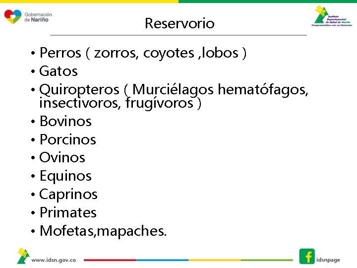 Reservorio • Perros ( zorros, coyotes , lobos ) • Gatos • Quiropteros (