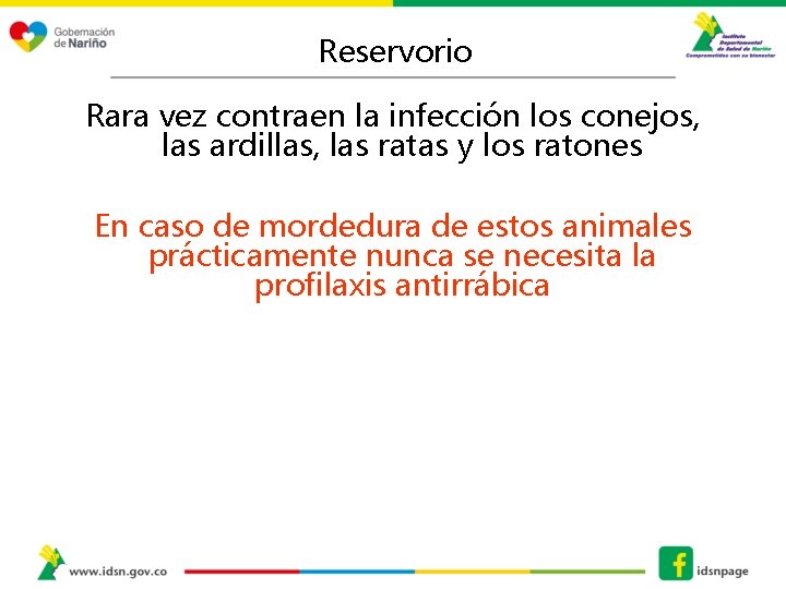 Reservorio Rara vez contraen la infección los conejos, las ardillas, las ratas y los