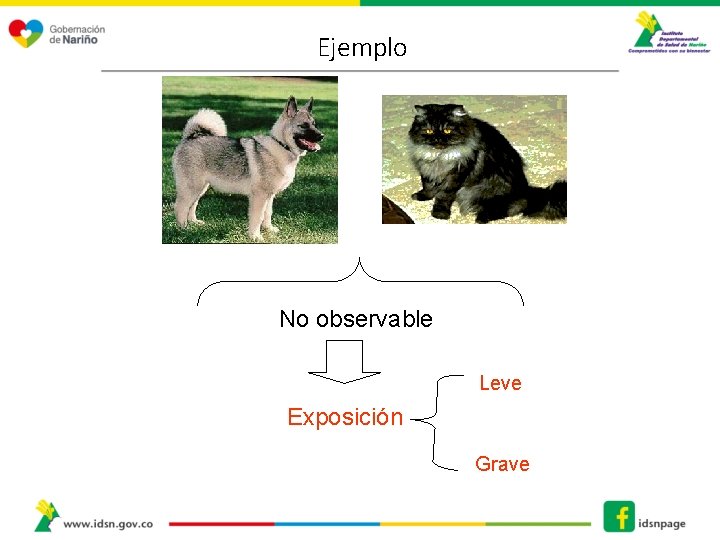 Ejemplo No observable Leve Exposición Grave 