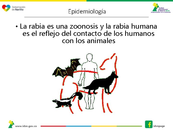 Epidemiología • La rabia es una zoonosis y la rabia humana es el reflejo