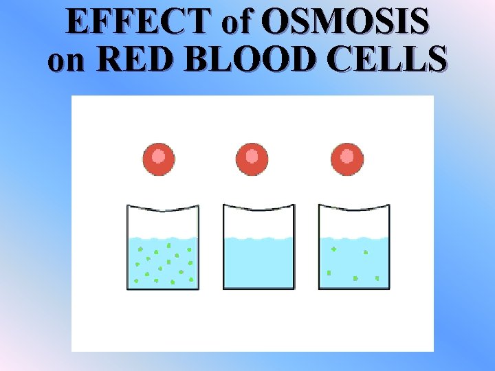 EFFECT of OSMOSIS on RED BLOOD CELLS 