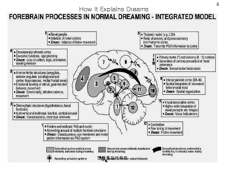 How It Explains Dreams 대한홍채의학회 6 