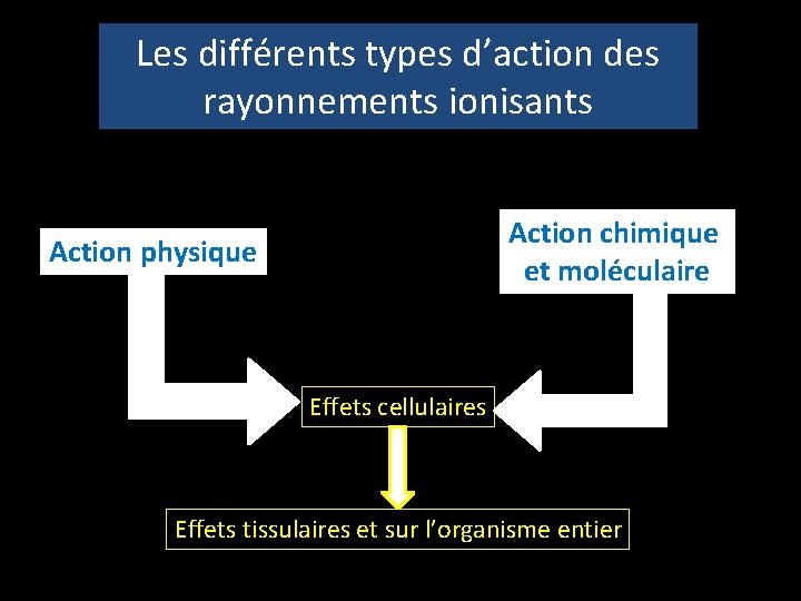 Les différents types d’action des rayonnements ionisants Action chimique et moléculaire Action physique Effets