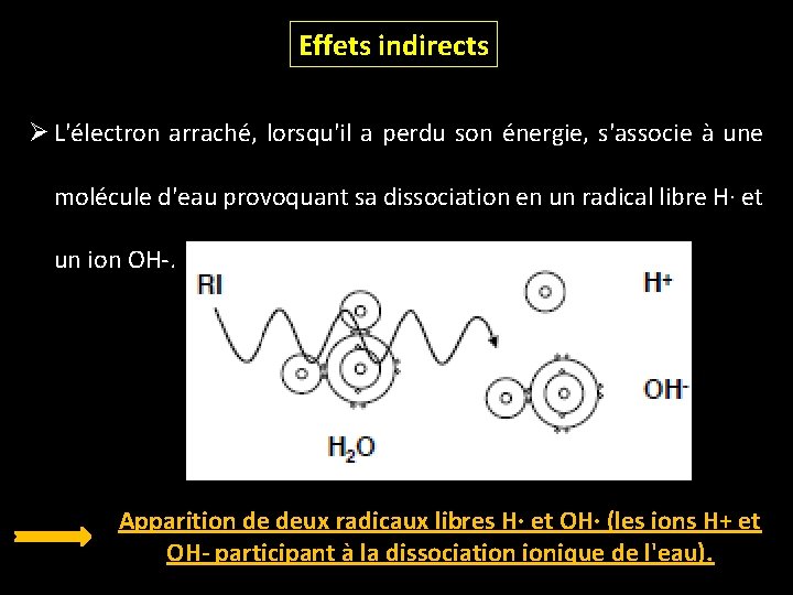 Effets indirects Ø L'électron arraché, lorsqu'il a perdu son énergie, s'associe à une molécule