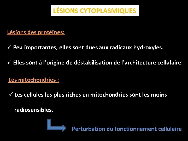 LÉSIONS CYTOPLASMIQUES Lésions des protéines: ü Peu importantes, elles sont dues aux radicaux hydroxyles.