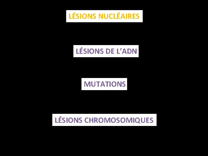 LÉSIONS NUCLÉAIRES LÉSIONS DE L’ADN MUTATIONS LÉSIONS CHROMOSOMIQUES 