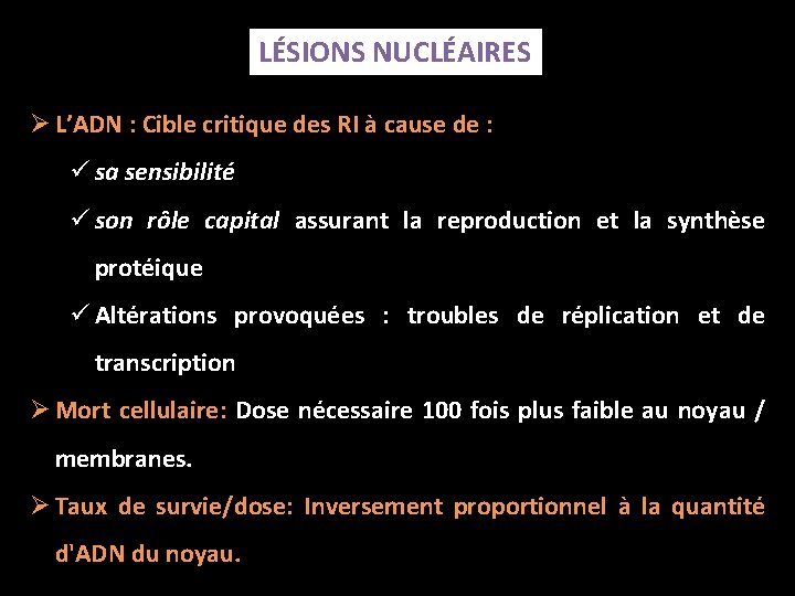 LÉSIONS NUCLÉAIRES Ø L’ADN : Cible critique des RI à cause de : ü