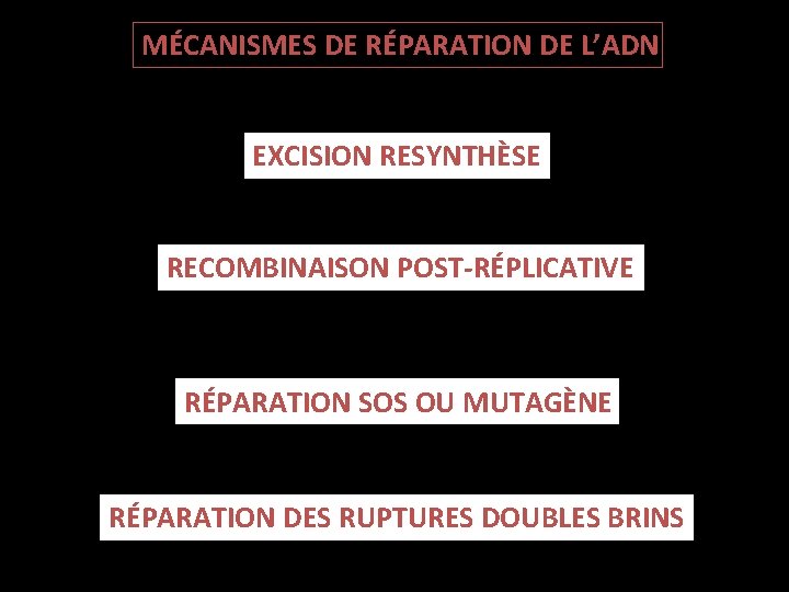 MÉCANISMES DE RÉPARATION DE L’ADN EXCISION RESYNTHÈSE RECOMBINAISON POST-RÉPLICATIVE RÉPARATION SOS OU MUTAGÈNE RÉPARATION