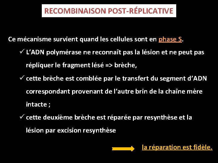 RECOMBINAISON POST-RÉPLICATIVE Ce mécanisme survient quand les cellules sont en phase S. ü L’ADN