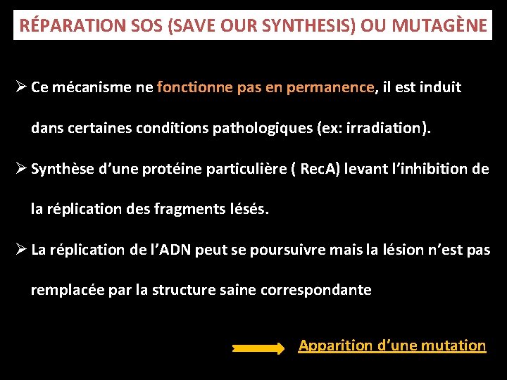 RÉPARATION SOS (SAVE OUR SYNTHESIS) OU MUTAGÈNE Ø Ce mécanisme ne fonctionne pas en