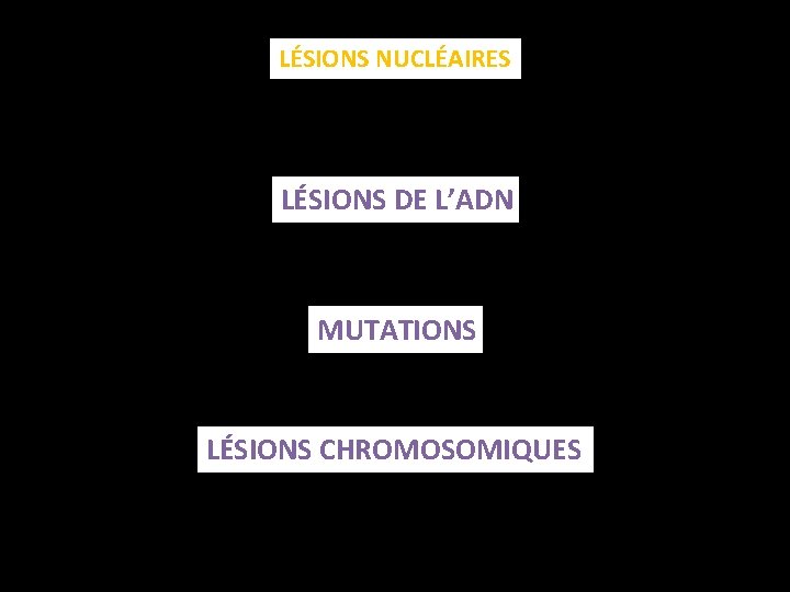 LÉSIONS NUCLÉAIRES LÉSIONS DE L’ADN MUTATIONS LÉSIONS CHROMOSOMIQUES 