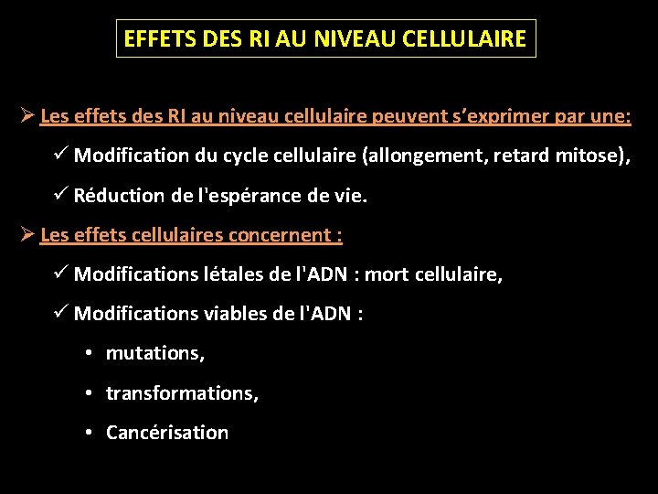 EFFETS DES RI AU NIVEAU CELLULAIRE Ø Les effets des RI au niveau cellulaire