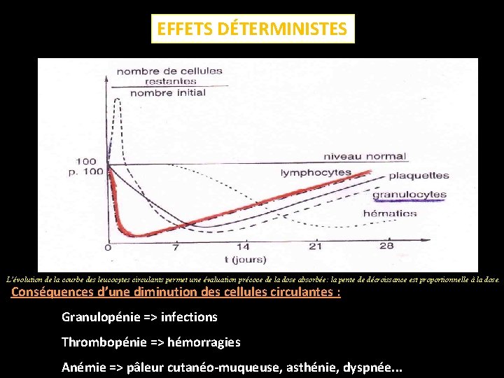 EFFETS DÉTERMINISTES L’évolution de la courbe des leucocytes circulants permet une évaluation précoce de