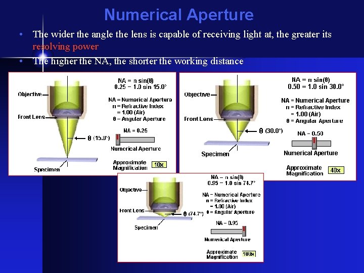 Numerical Aperture • The wider the angle the lens is capable of receiving light