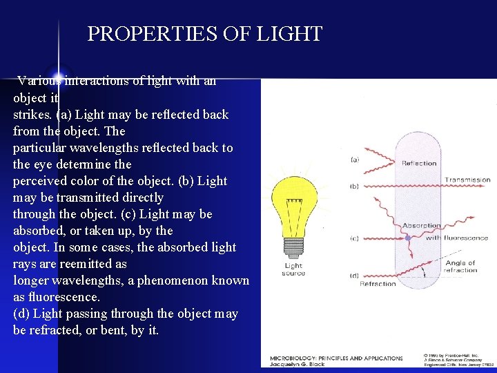 PROPERTIES OF LIGHT Various interactions of light with an object it strikes. (a) Light