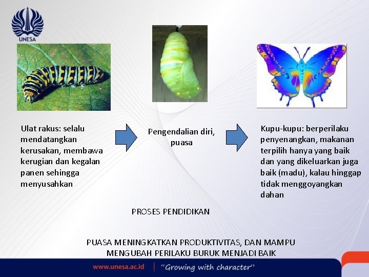 Ulat rakus: selalu mendatangkan kerusakan, membawa kerugian dan kegalan panen sehingga menyusahkan Pengendalian diri,