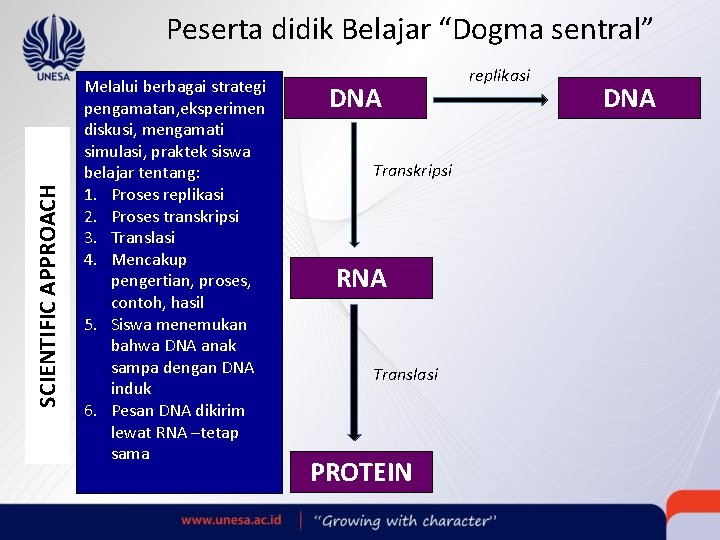 SCIENTIFIC APPROACH Peserta didik Belajar “Dogma sentral” Melalui berbagai strategi pengamatan, eksperimen diskusi, mengamati