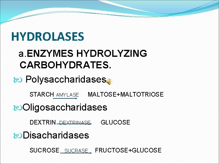 HYDROLASES a. ENZYMES HYDROLYZING CARBOHYDRATES. Polysaccharidases STARCH AMYLASE MALTOSE+MALTOTRIOSE Oligosaccharidases DEXTRINASE GLUCOSE Disacharidases SUCROSE