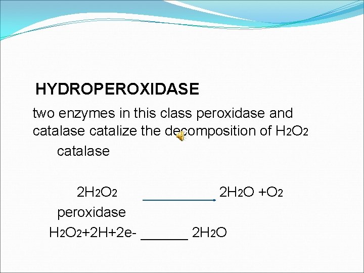 HYDROPEROXIDASE two enzymes in this class peroxidase and catalase catalize the decomposition of H