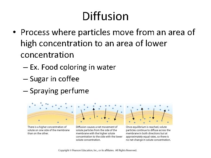 Diffusion • Process where particles move from an area of high concentration to an