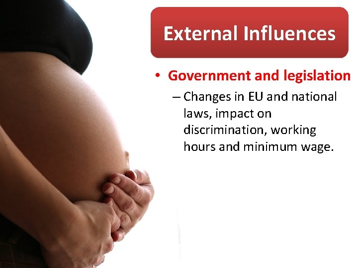 External Influences • Government and legislation – Changes in EU and national laws, impact