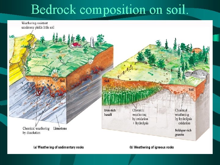 Bedrock composition on soil. 