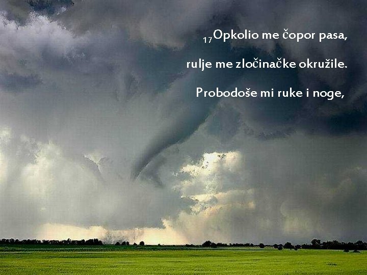 17 Opkolio me čopor pasa, rulje me zločinačke okružile. Probodoše mi ruke i noge,