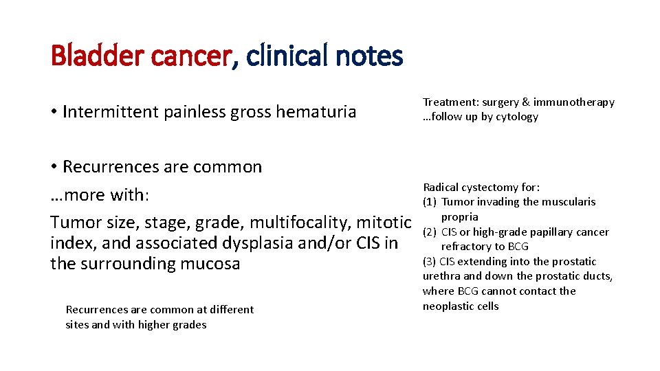 Bladder cancer, clinical notes • Intermittent painless gross hematuria • Recurrences are common …more