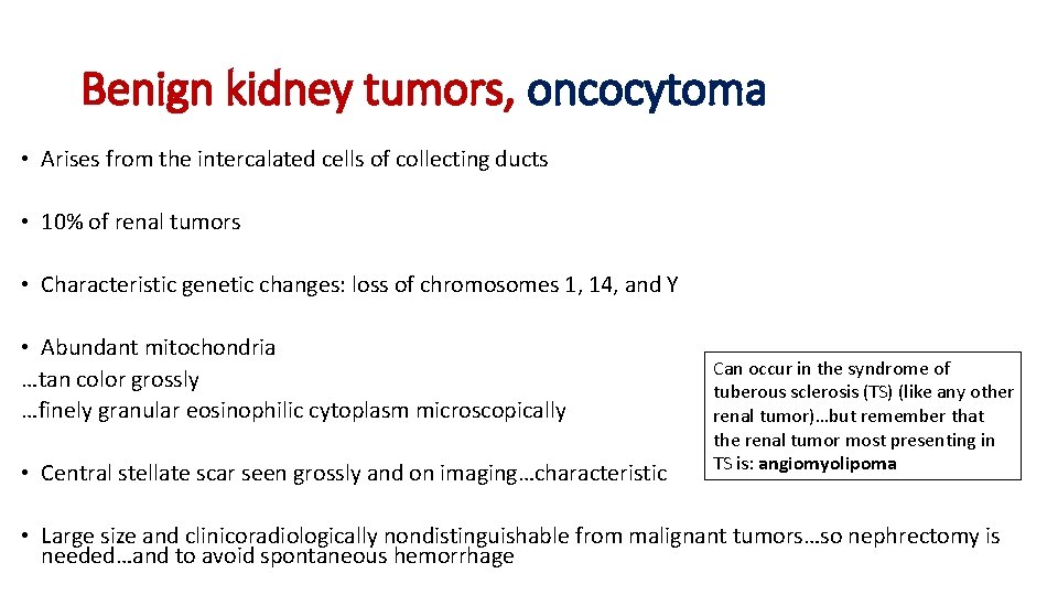 Benign kidney tumors, oncocytoma • Arises from the intercalated cells of collecting ducts •