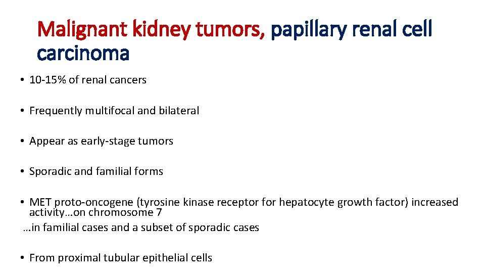 Malignant kidney tumors, papillary renal cell carcinoma • 10 -15% of renal cancers •