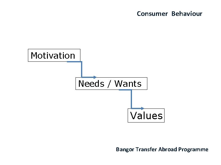 Consumer Behaviour Motivation Needs / Wants Values Bangor Transfer Abroad Programme 