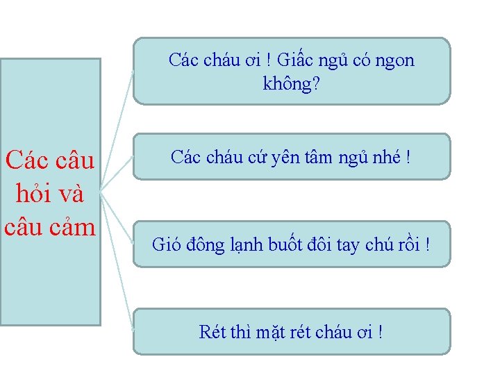 Các cháu ơi ! Giấc ngủ có ngon không? Các câu hỏi và câu