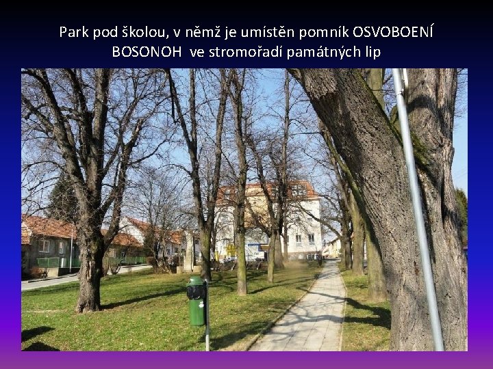 Park pod školou, v němž je umístěn pomník OSVOBOENÍ BOSONOH ve stromořadí památných lip