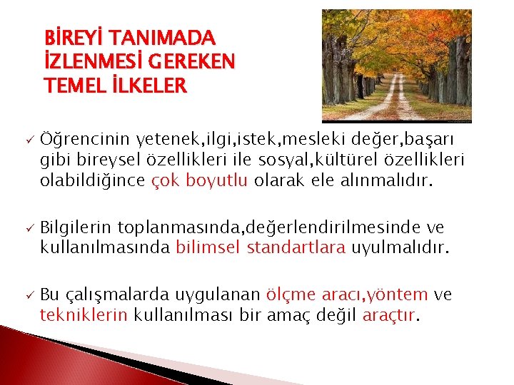 BİREYİ TANIMADA İZLENMESİ GEREKEN TEMEL İLKELER ü ü ü Öğrencinin yetenek, ilgi, istek, mesleki