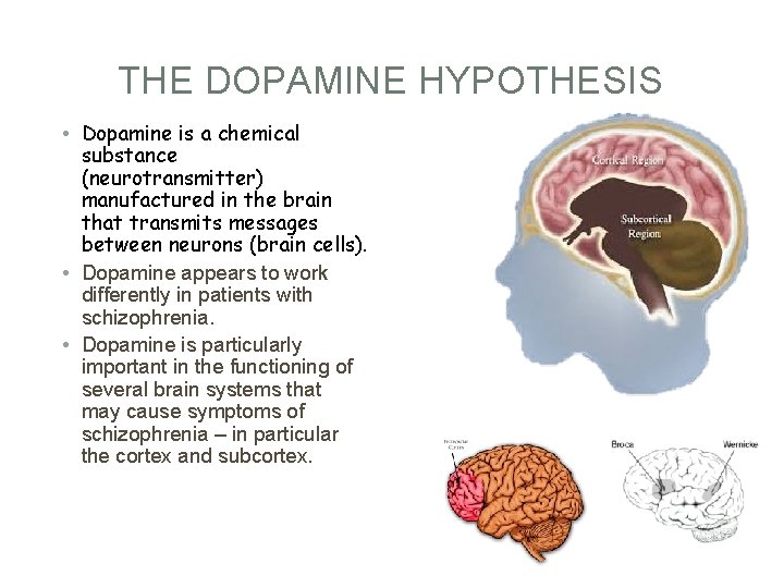 THE DOPAMINE HYPOTHESIS • Dopamine is a chemical substance (neurotransmitter) manufactured in the brain