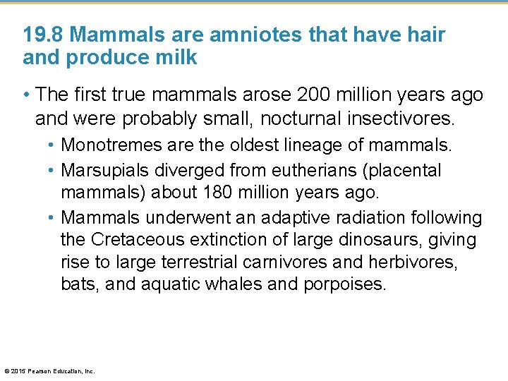 19. 8 Mammals are amniotes that have hair and produce milk • The first