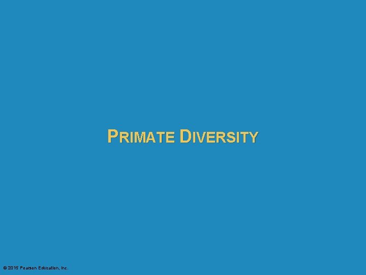 PRIMATE DIVERSITY © 2015 Pearson Education, Inc. 