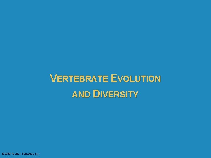 VERTEBRATE EVOLUTION AND DIVERSITY © 2015 Pearson Education, Inc. 