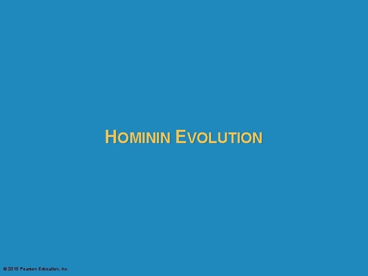 HOMININ EVOLUTION © 2015 Pearson Education, Inc. 