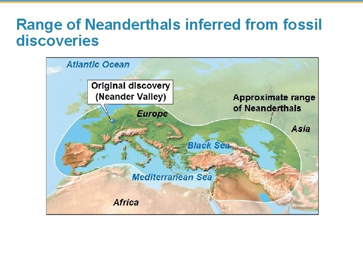 Range of Neanderthals inferred from fossil discoveries 
