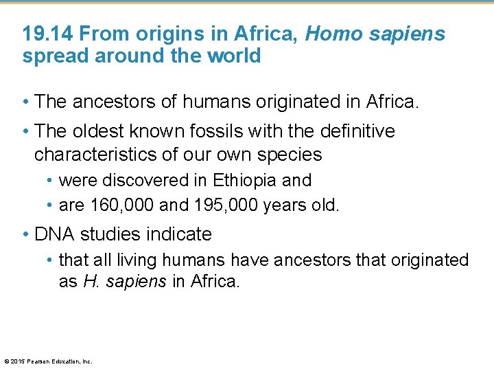 19. 14 From origins in Africa, Homo sapiens spread around the world • The