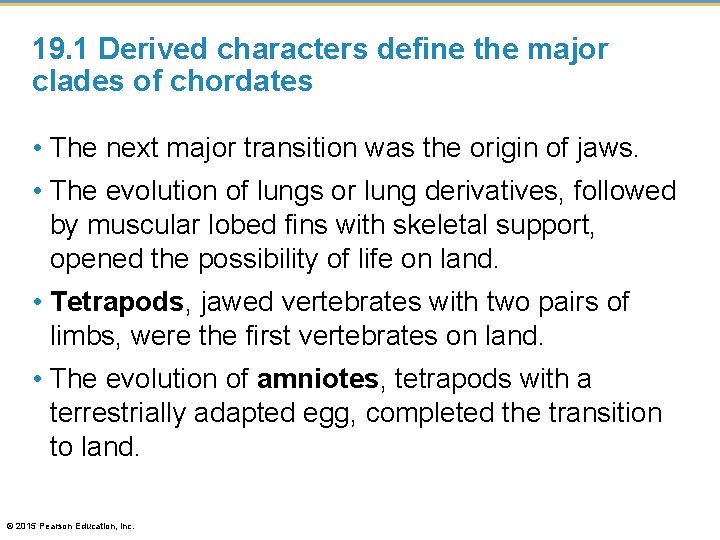 19. 1 Derived characters define the major clades of chordates • The next major
