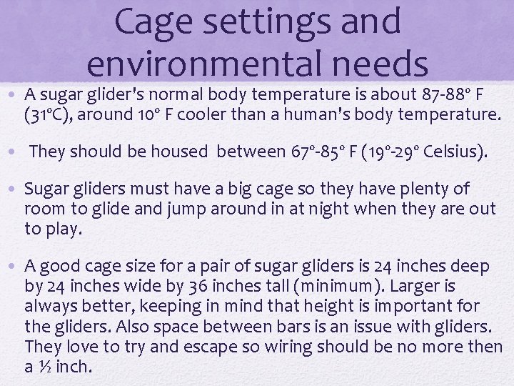 Cage settings and environmental needs • A sugar glider's normal body temperature is about