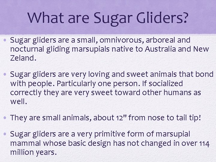What are Sugar Gliders? • Sugar gliders are a small, omnivorous, arboreal and nocturnal