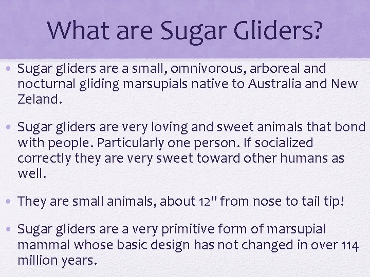 What are Sugar Gliders? • Sugar gliders are a small, omnivorous, arboreal and nocturnal
