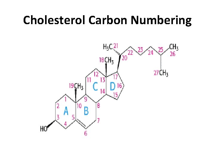 Cholesterol Carbon Numbering 